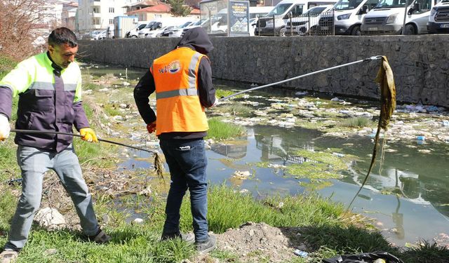 İnci kefalinin göç yolundaki atıklar temizlendi