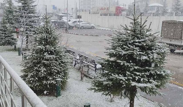 Van'da nisan ayında her yer beyaza büründü
