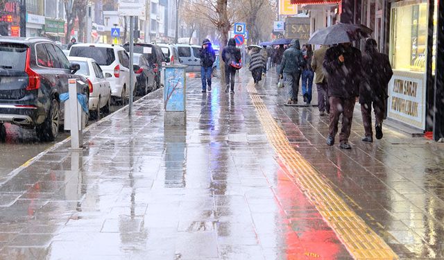 Van’da Nisan ayında kar sürprizi