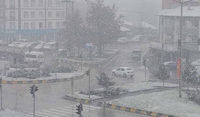 Erciş’te nisan ayında kar yağışı