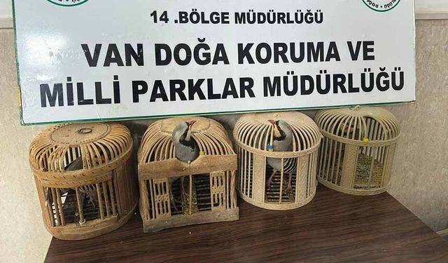 Van'da keklik avlayan şahsa 86 bin 278 lira para cezası