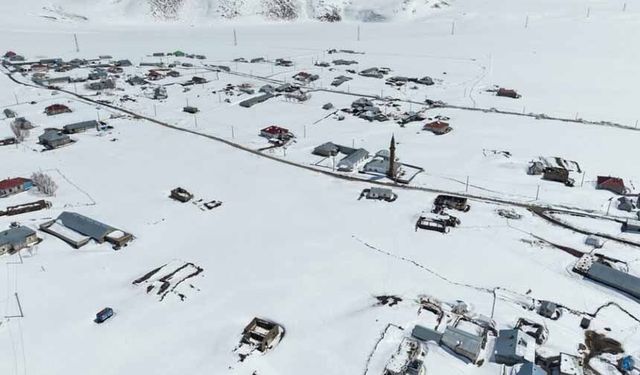 Van ve Bitlis'in kırsal bölgelerinde zorlu kış şartlarıyla mücadele sürüyor