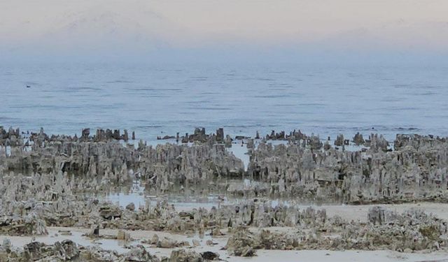 Van Gölü'nde alarm! Mikrobiyalitler gün yüzüne çıktı