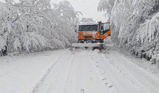 Van’da Nisan ayında 151 yol ulaşıma kapandı