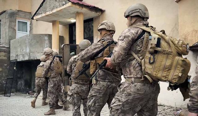 Hakkari'de kaçakçılık şebekesi çökertildi