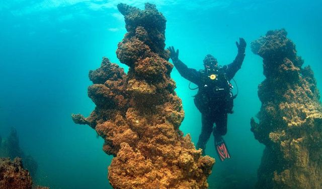 Van Gölü'nün dev mikrobiyalitleri dünya rekorlar kitabı yolunda