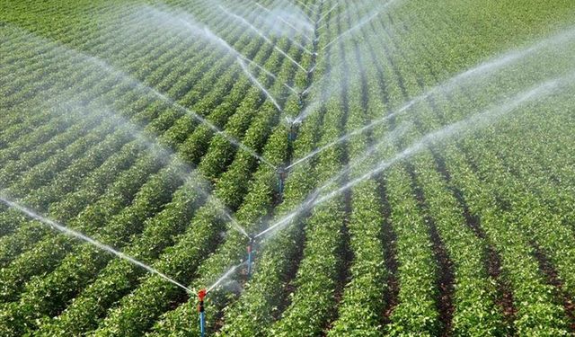 Bakanlık duyurdu: Yüzde 50 ile 70 arasında hibe desteği verilecek