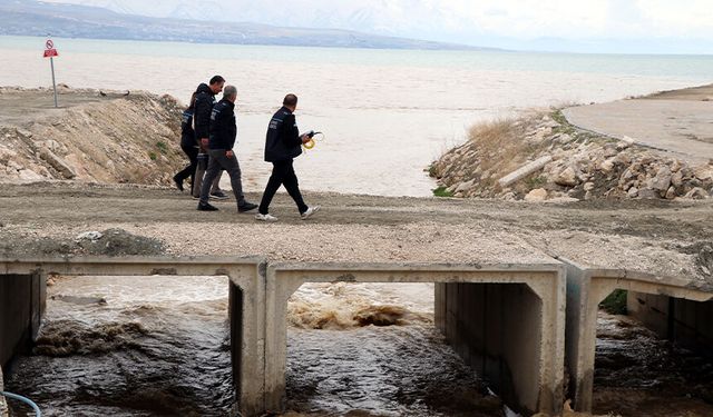 İnci kefalinin üreme göçüne sıkı takip! Avlamayın, satmayın ve sattırmayın