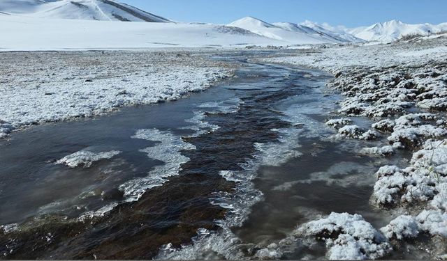 Van'da dondurucu soğuklar