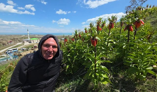 Ters laleleri görmek için İngiltere'den Van'a geldi