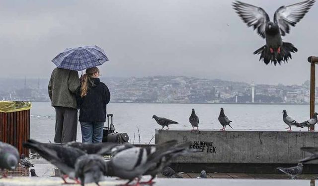 Yağışlar geçen yıla göre yaklaşık 3 kat arttı