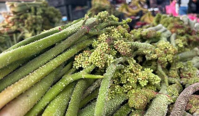 Van'da yayla muzu uçkunun fiyatı dikkat çekti