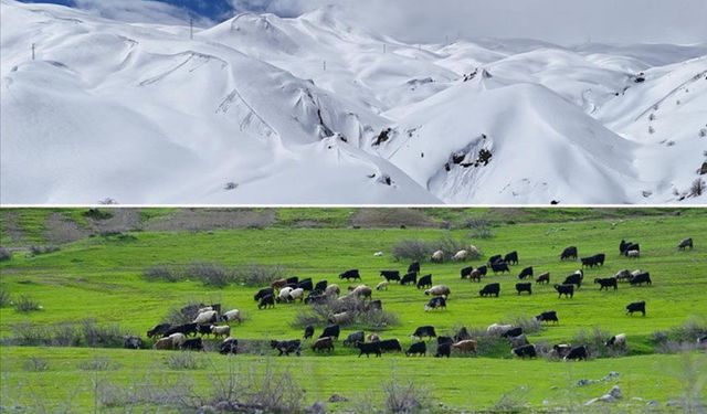 Hakkari'nin bir tarafında bahar diğer tarafında kış yaşanıyor