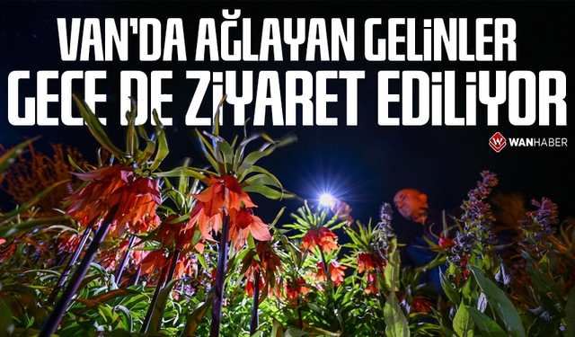 Van'da “ağlayan gelinler” gece de ziyaret ediliyor
