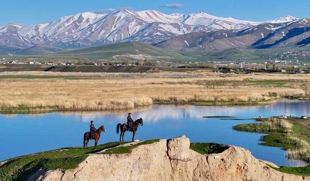 Van'da atlı jandarma timi inci kefali için görevde