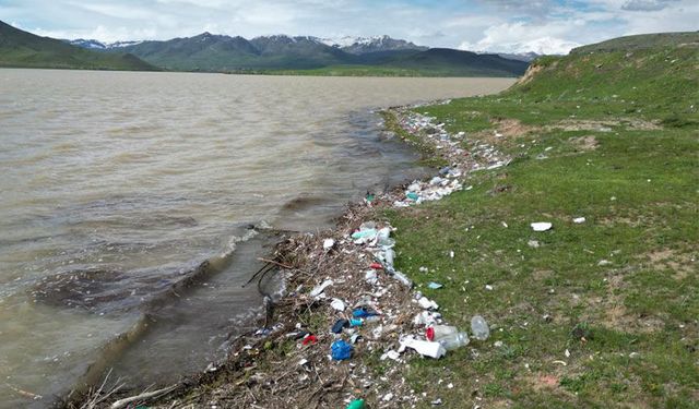 Van'da baraj kıyısında çirkin görüntü