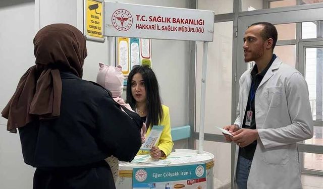 Yüksekova'da "sessiz tehlike" mesaisi