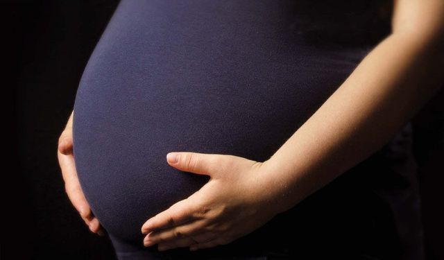 Van’da doğurganlık hızı son 3 yılda düşüş gösterdi