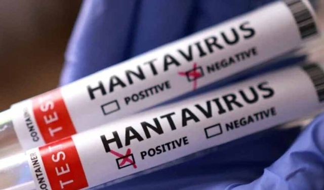 Sağlık Bakanlığ'dan hantavirüs açıklaması