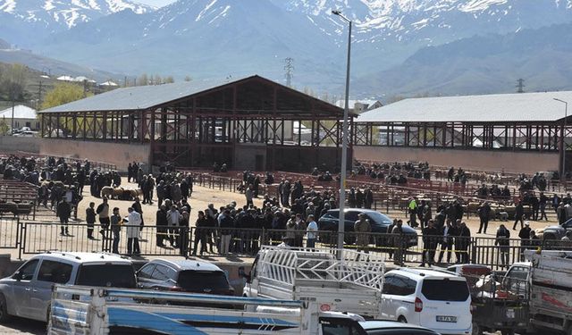 Van’da canlı hayvan pazarındaki kavganın görüntüleri ortaya çıktı