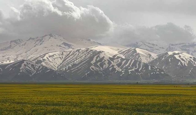 Yüksekova'da iki mevsim bir arada yaşanıyor