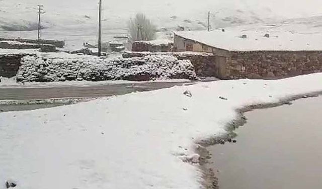 Gürpınar’da mayıs ayında kar sürprizi