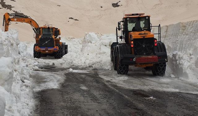 Van'da kış bitti, karla mücadele devam ediyor