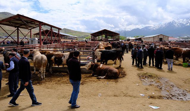 Uzmanından Vanlılara kurban eti uyarısı: "En az 12-24 saat dinlendirin"