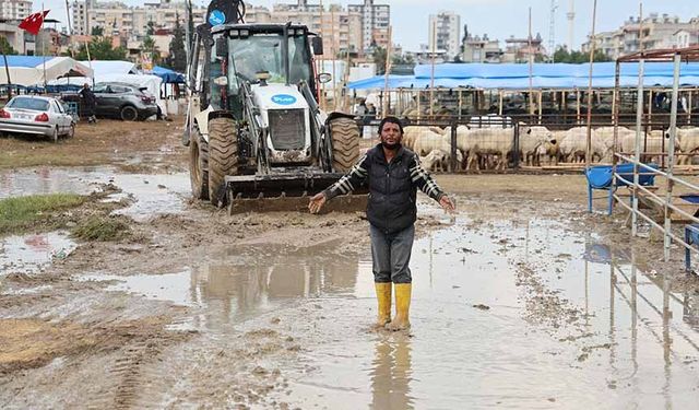 Kurban pazarlarını su bastı! Van'dan giden besici isyan etti