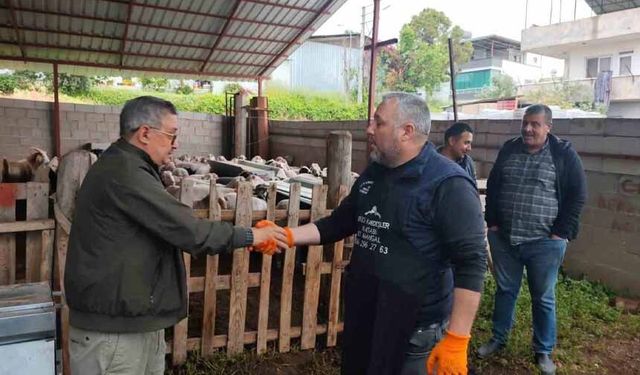 Kurbanlıklar satışa çıktı, pazarlıklar kızıştı