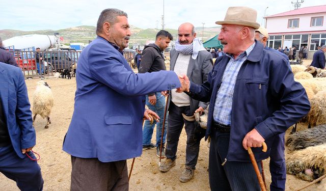 Van canlı hayvan pazarında sıkı pazarlıklar! Wanhaber, pazarın nabzını tuttu