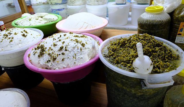 Van peynirinin vazgeçilmez otları satışta! Tadını onlardan alıyor…