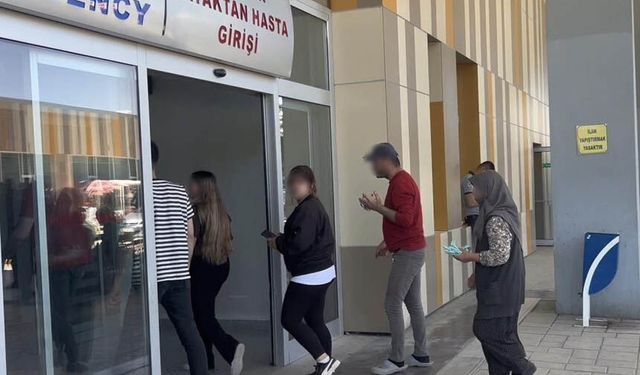 Van'da 171 acemi kasap hastanelik oldu