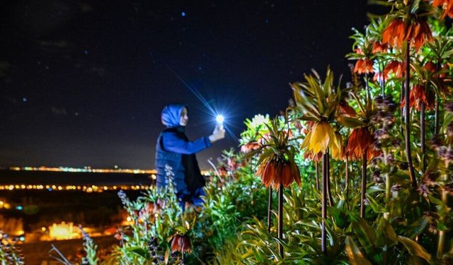 Van'da “ağlayan gelinler” gece de ziyaret ediliyor
