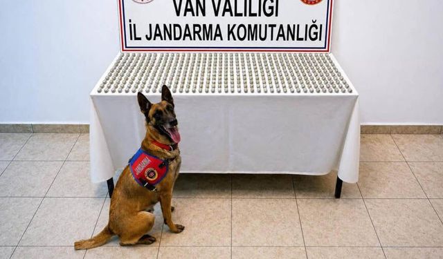 Van'da 8 İranlı'nın midesinden çıkanlar şok etti!