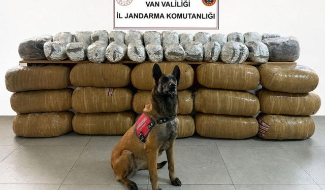 Van'da büyük operasyon! Yarım tona yakın ele geçirildi