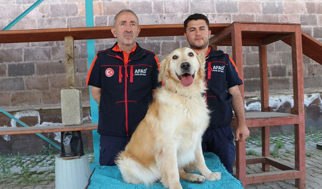 Van AFAD'ın kahraman köpeği köpük’ten büyük başarı