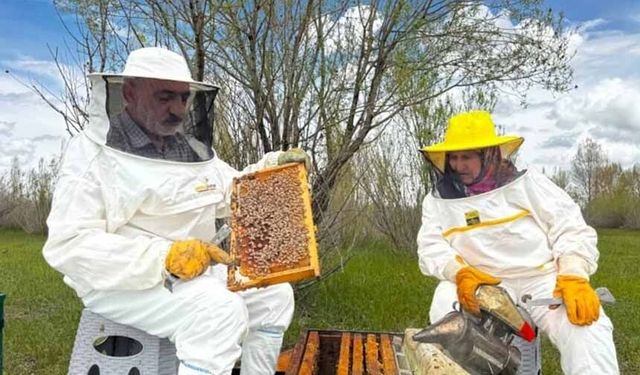 5 kovanla başladığı arıcılıkta 100 kovanı geçti