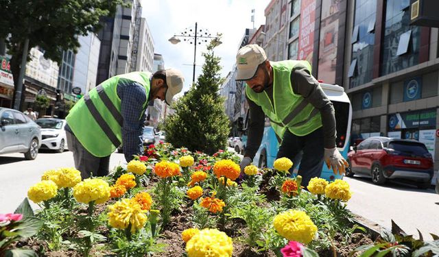 Van’ın işlek caddesine 17 bin çiçek dikildi