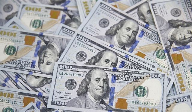 Dolar endeksi son 13 ayın zirvesinde