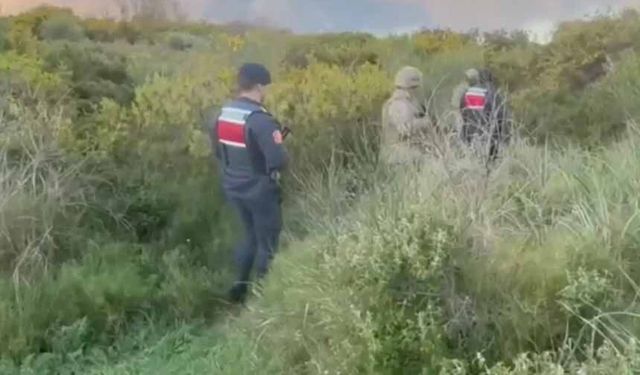 Van dahil 24 ilde göçmen kaçakçılığı operasyonu