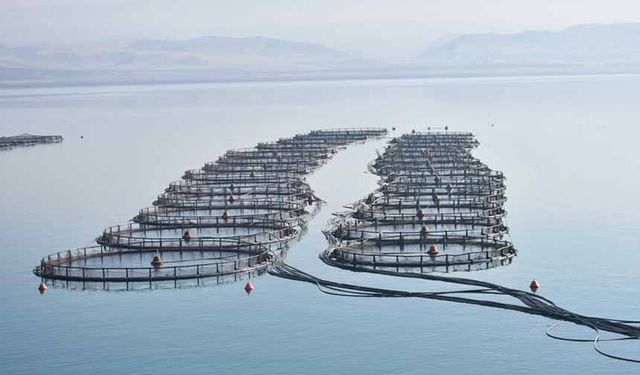 IPARD III Programı 11. başvuru çağrı ilanı yayımlandı
