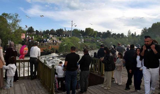 Van'da kaçak avcılığa dikkat çekmek için bağlama çalıp, türkü okudu