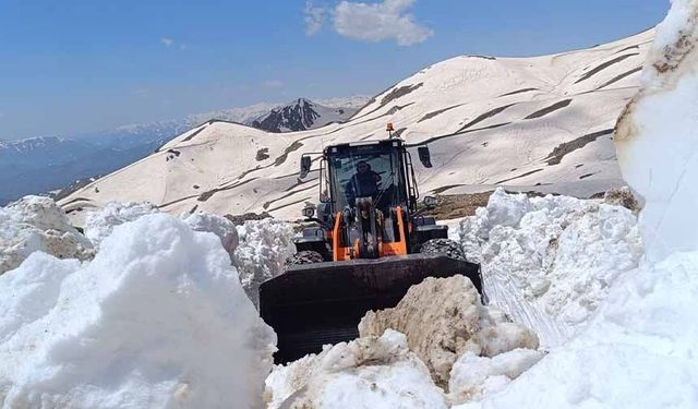 Hakkari'de yaz günü karla mücadele devam ediyor