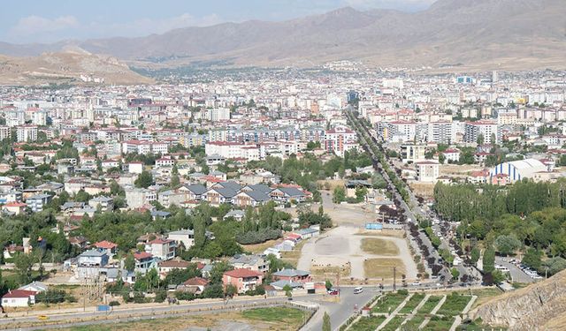 Van'da kayalıktan düşen kadın hayatını kaybetti