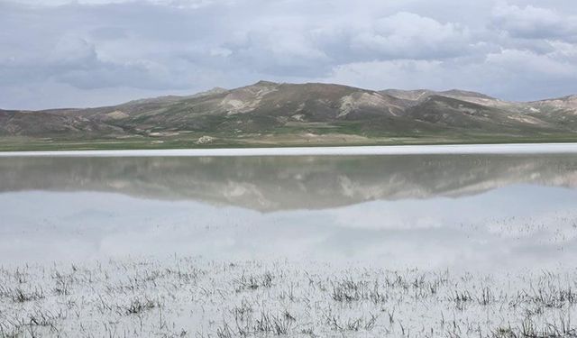 Van'ın kuş cenneti Akgöl misafirlerini bekliyor