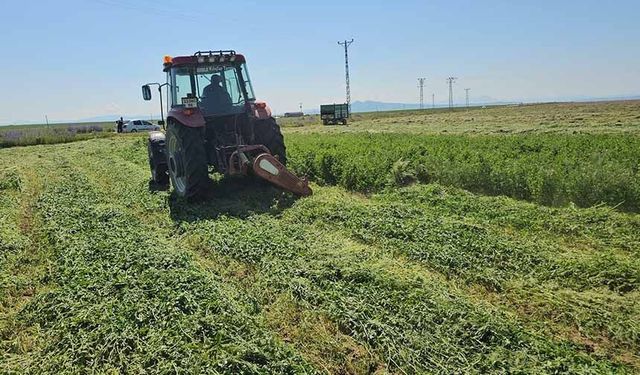 Adilcevaz'da ot biçme sezonu başladı