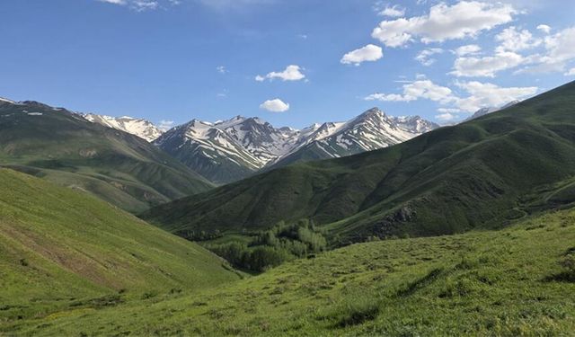 Van'da doğanın renkli ve beyaz yüzü bir arada