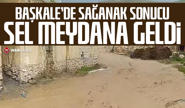 Başkale'de sağanak sonucu sel meydana geldi