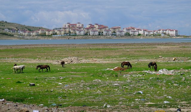Sıhke Gölü çevresini çöp sardı!